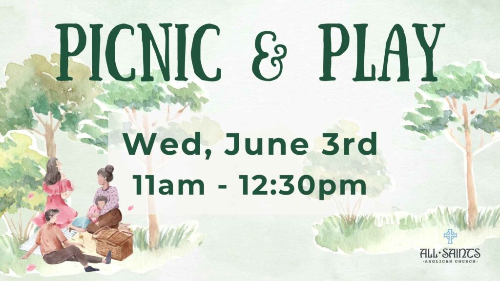 Picnic & Play LOGO